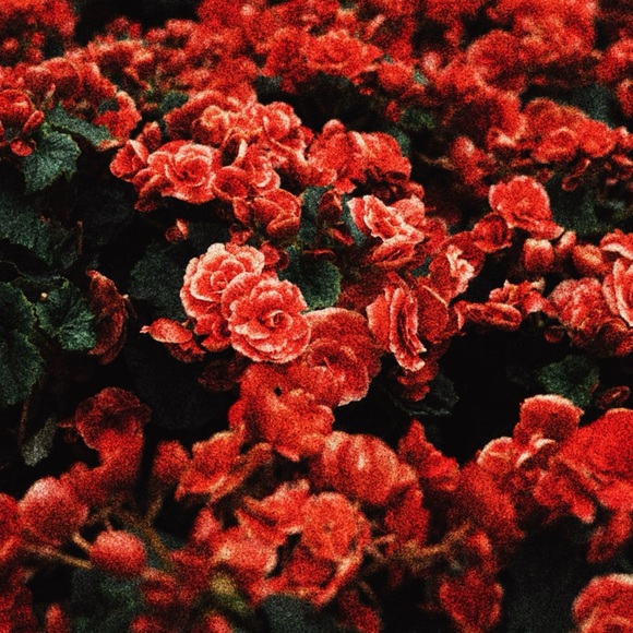 HIM Enamel Pin - The Powerpuff Girls - Picture 2 of 5